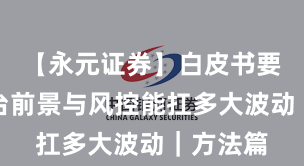 【永元证券】白皮书要点：平台前景与风控能扛多大波动｜方法篇