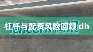 杠杆与配资风险回顾 dh