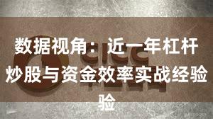 数据视角：近一年杠杆炒股与资金效率实战经验