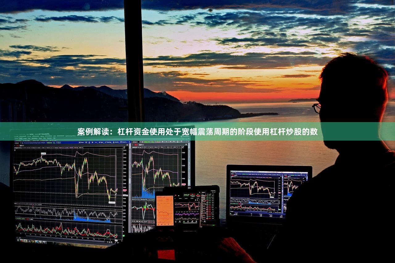 案例解读：杠杆资金使用处于宽幅震荡周期的阶段使用杠杆炒股的数